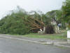 Hurricane Dean - St Lucia Island